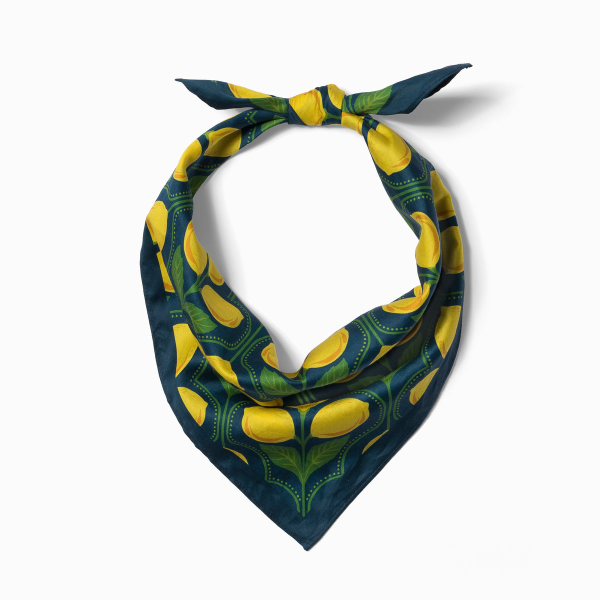Apron & Bandana Matching Set | Lemon Provence