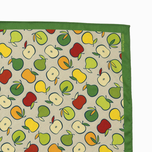 Bandana | Appalachian Picnic