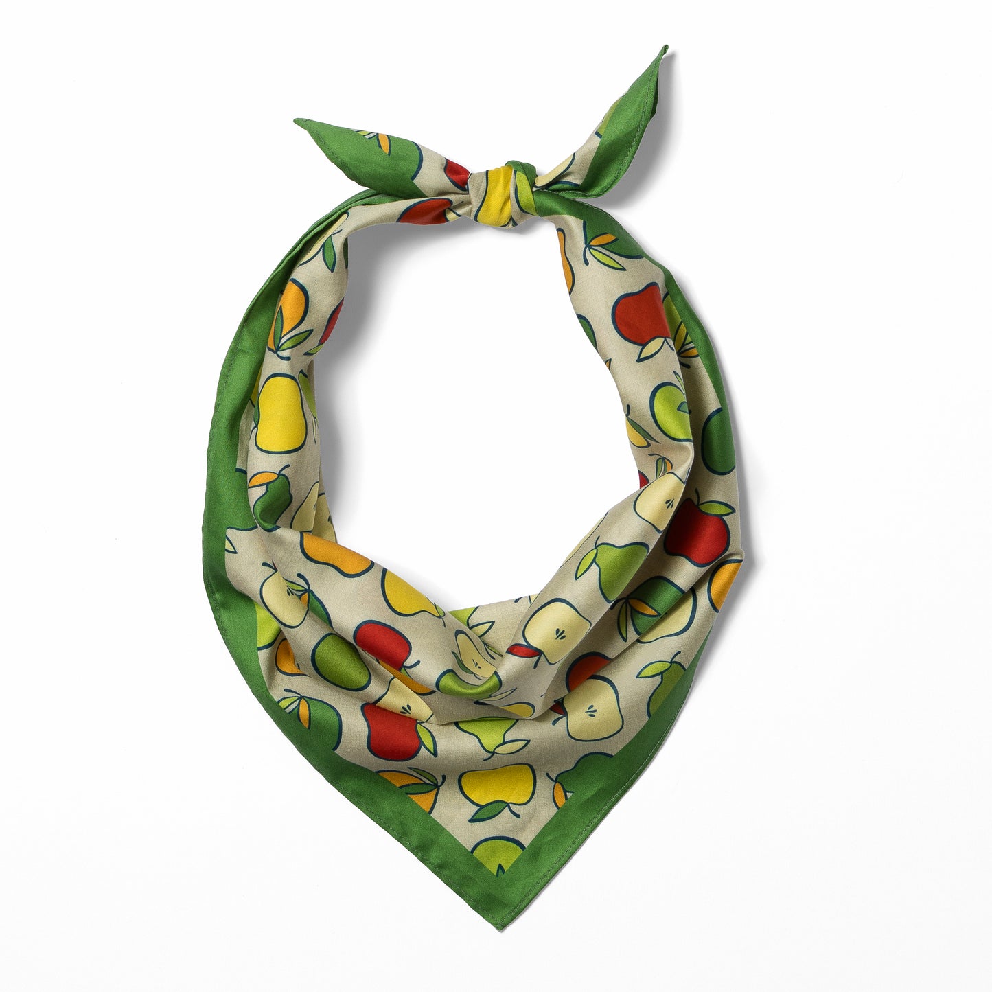 Bandana | Appalachian Picnic